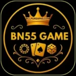 BN55 Game