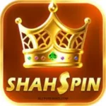 Shah Spin Game