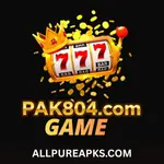 PAK804 Game