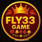 Fly33 Game